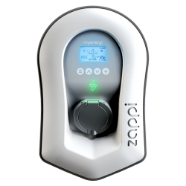 zappi in white