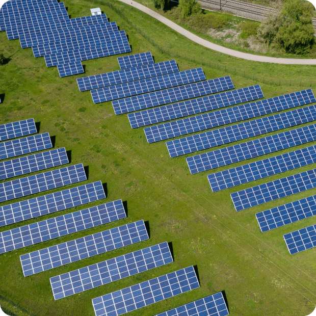 Solarmodule auf einer Wiese